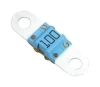 142.5631.6102 Littelfuse pe985903 фото