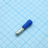MPV1.25-156 Blue YCD pe158790 фото