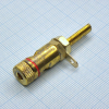 Клемма D 11 M6 gold . pe117196 фото