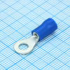 RV2-4L  Blue YCD pe157136 фото
