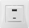 Розетка 2xUSB A/C, 125-250V (белый) 201007 фото