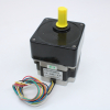 FL86STH65-2808AG5 Fulling Motor pe1138767 фото